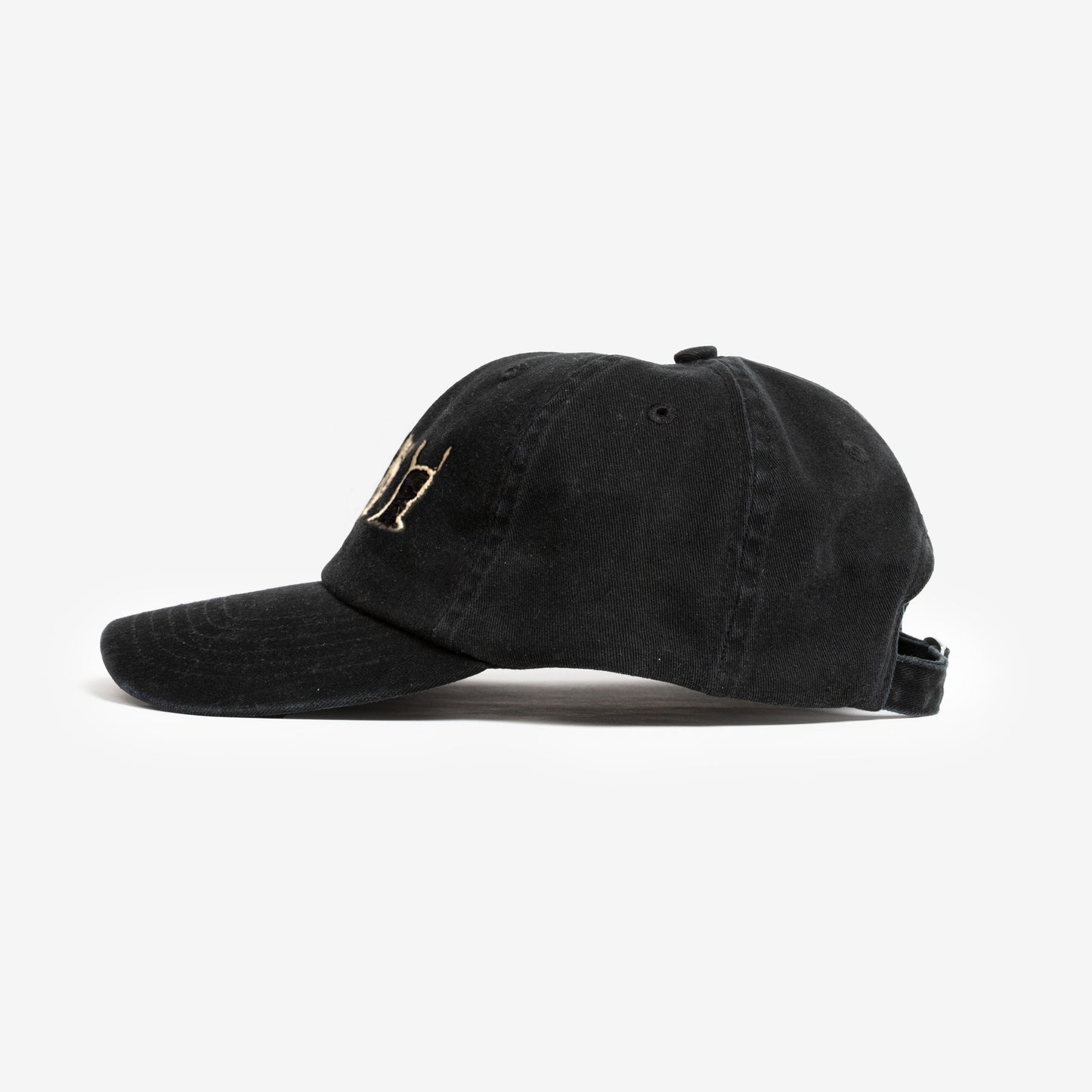 MIRRORS DAD CAP